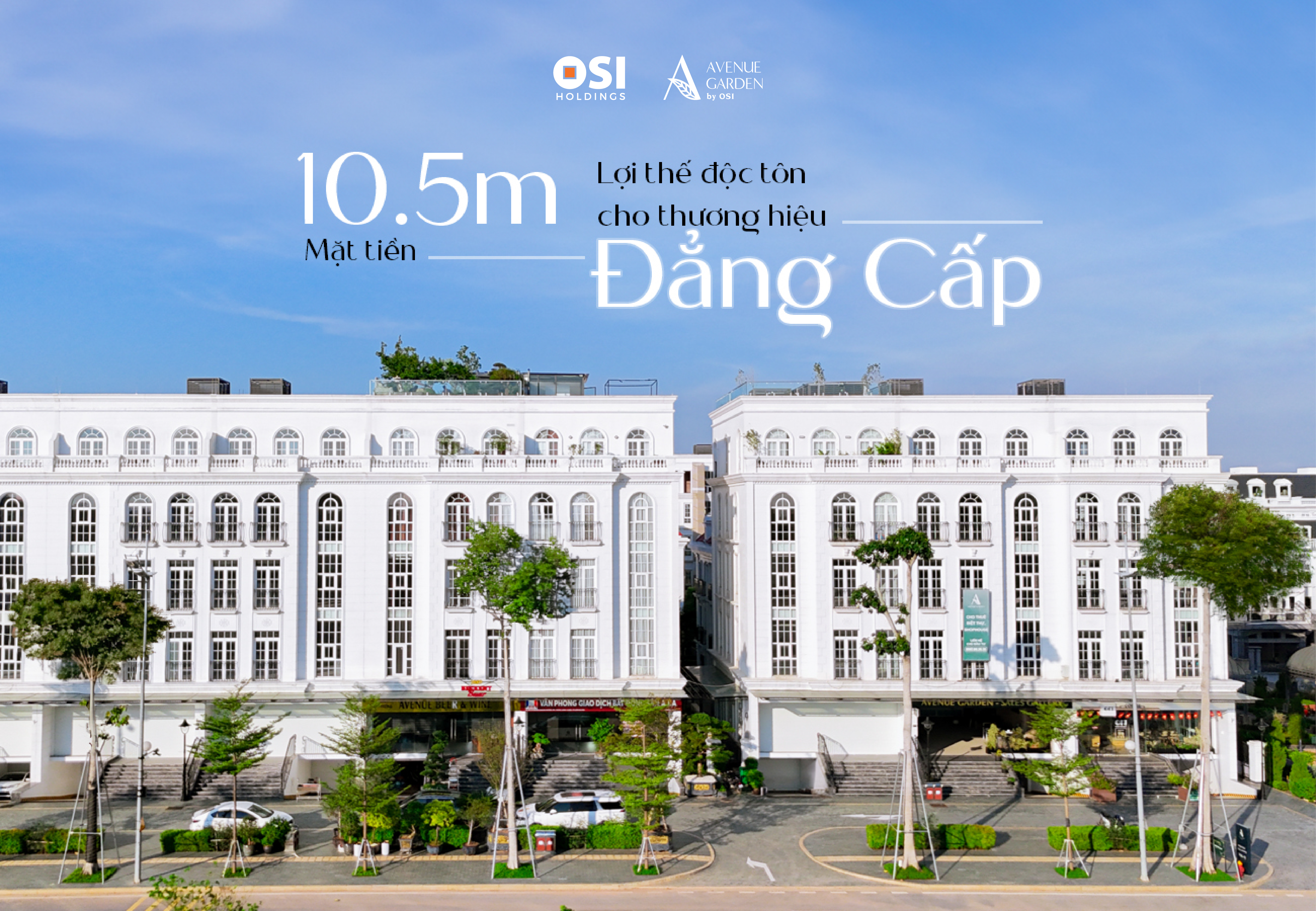 Giải Mã Sức Hút Của Shophouse "Không Cột Trụ": Đẳng Cấp Mặt Tiền 10.5m Tại Avenue Garden
